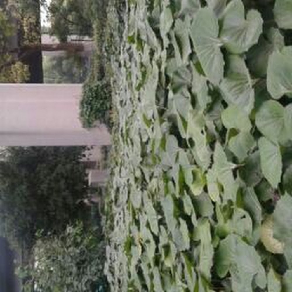 Meet your Posher, Marie